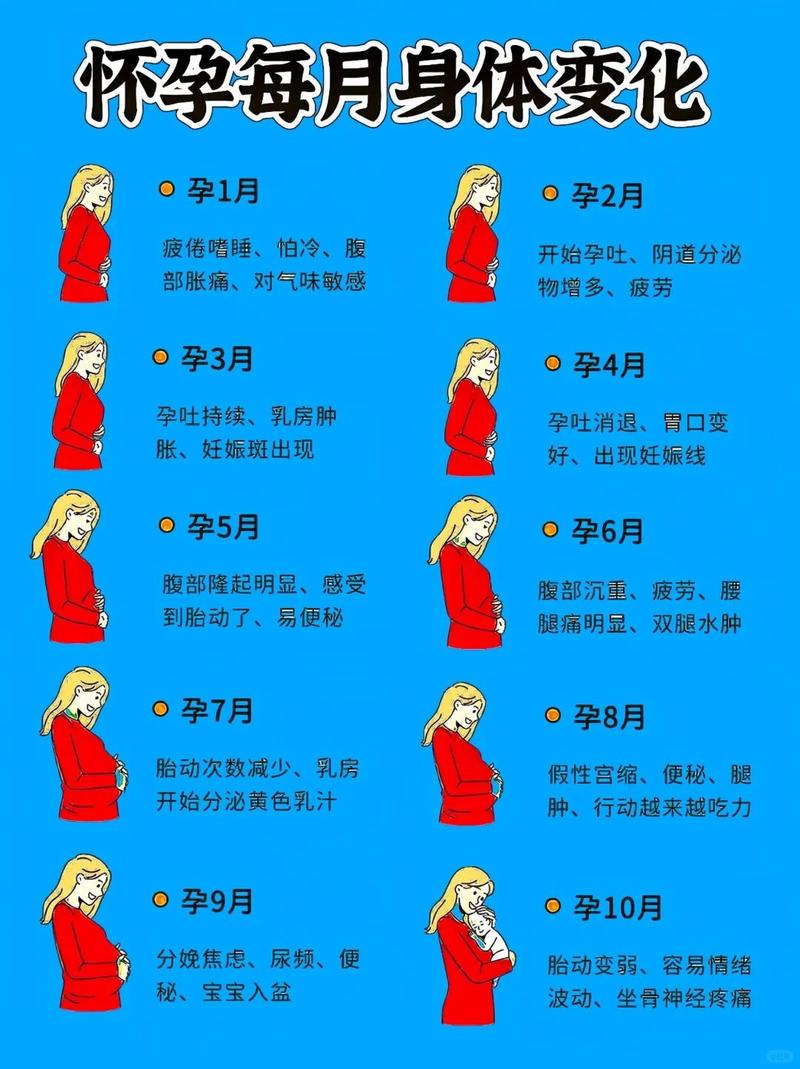 孕期下午反应大真能判断胎儿性别吗？科学依据是什么？-第1张图片-郑州医学网