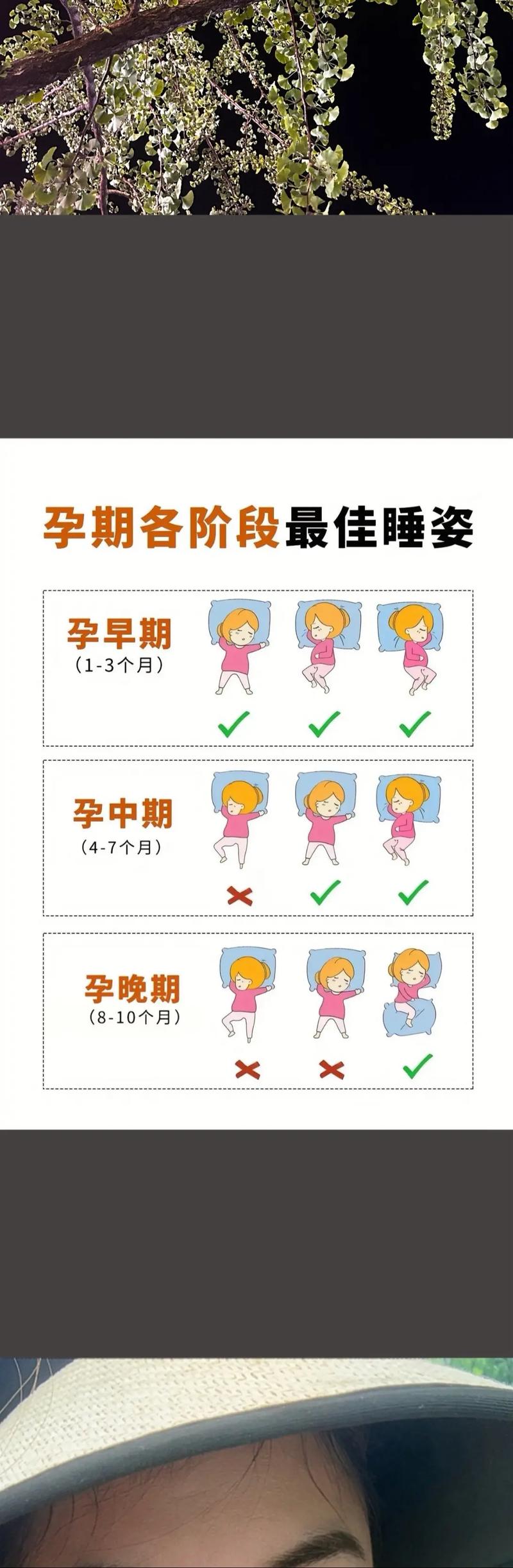 孕期总犯困、嗜睡，和怀的是男孩女孩有关系吗？科学依据是什么？-第2张图片-郑州医学网