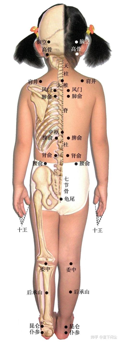 儿童脾虚拔罐位置图，哪些穴位安全有效？家长如何正确操作？-第1张图片-郑州医学网
