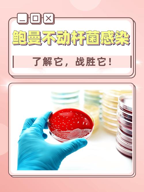 新生儿感染鲍曼不动杆菌的高危因素与防控策略有哪些？-第2张图片-郑州医学网