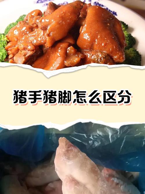 孕期吃猪蹄真的能补胶原蛋白吗？对胎儿发育到底有没有好处？-第3张图片-郑州医学网